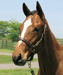 ビジュアルショック16