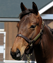 ラストグルーヴ17