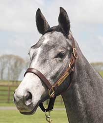 ホワイトペッパー19