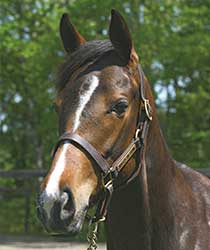 ビリーヴミー19