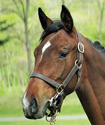 ドライヴンスノー19