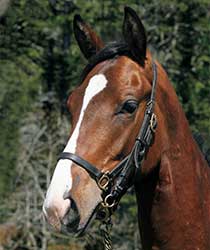 プラヤデシエルタ19