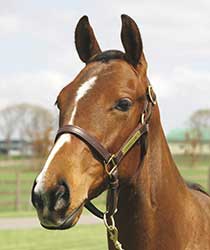 ミオリチャン19