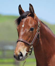 ココロノアイ18