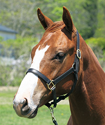 ドライヴンスノー18