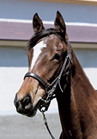 エクセレントデザイン20