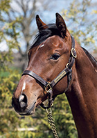 トリニティプレイス20