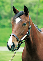 アンジュパッセ20