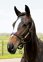 ヌーベルバーグ20