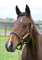 タイムレスメロディ20