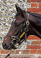 （外）スピーディボーディング20