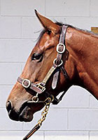 （外）ワンダフリー20